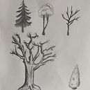 Practicas arboles. Un progetto di Disegno a matita di Anaïs Castro Pros - 09.03.2023