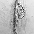 D.A: Figura en movimiento 1.. Pencil Drawing project by Carla Villamana - 03.09.2023