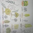 Mi proyecto del curso: Cuaderno botánico en acuarela. Un progetto di Illustrazione tradizionale, Pittura ad acquerello, Illustrazione botanica e Sketchbook di Heidi De Luna - 10.03.2023