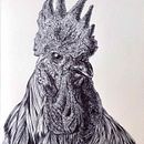 Gallo. Un proyecto de Ilustración tradicional y Dibujo artístico de Florence Saje - 11.03.2023