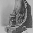 My project for course: Artistic Drawing for Beginners. Un proyecto de Dibujo a lápiz, Dibujo, Dibujo realista y Dibujo artístico de le.l.ssl.lll74 - 12.03.2023