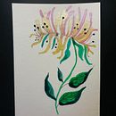 Honeysuckle - Personal illustration. Un progetto di Illustrazione tradizionale di Valentina Galea - 12.03.2023