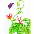 Il mio progetto del corso: Tecniche di illustrazione e arte botanica contemporanea . % Claudia Viel tarafından hazırlanan Geleneksel illüstras, on, Güzel sanatlar, Sulubo, a Resim, Botanik İllüstras, on, Guaj Bo, Ve ama projesi - 03.13.2023