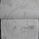My project for course: Fantasy Sketchbook: Draw Characters from Imagination. Ilustração tradicional, Criatividade, Desenho, e Sketchbook projeto de Igor Nunes - 11.03.2023