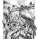 Mi proyecto del curso: Ilustración con tinta y plumilla: captura el mundo natural . Membuat sketsa, Menggambar, Menggambar Artistik, Buku sketsa, Ilustrasi Tinta & Ilustrasi Naturalistik proyek oleh silviamarecos - 03.16.2023