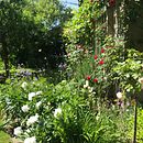 Gartengestaltung. Een project van L, scaping y Bloem- en plantenschikken van Sabina Poggioli - 17.03.2023