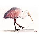 Mi proyecto del curso: Acuarela naturalista con expresión y personalidad. Un proyecto de Ilustración tradicional, Pintura a la acuarela e Ilustración naturalista				 de Nadia Ham - 19.03.2023