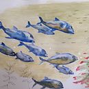 Il mio progetto del corso: Illustrazione di universi marini ad acquerello. Een project van Traditionele illustratie, Schilderij, Aquarelschilderen y Naturalistische illustratie van Milena Carli - 21.03.2023