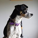 Mi proyecto del curso: Fotografía de viajes y lifestyle . Fotografie, Fotografie în aer liber și Fotografii de stil de viață de Josefina Giordano - 03.21.2023