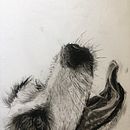 My project for course: Animal Illustration with Charcoal and Ink. Un proyecto de Bellas Artes, Dibujo, Ilustración con tinta e Ilustración naturalista				 de lauramac_88 - 22.03.2023