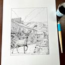 Latest Project . Un progetto di Illustrazione tradizionale, Illustrazione con inchiostro, Disegno e Illustrazione naturalistica di Matthew Taylor - 23.03.2023