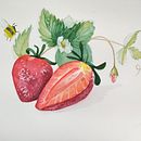 Una pera muy asustada. Mi proyecto del curso: Ilustración botánica realista: conecta con la naturaleza. Un proyecto de Pintura, Pintura a la acuarela, Ilustración botánica e Ilustración naturalista				 de Marieta Alonso-Collada - 24.03.2023