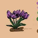 My project for course: Natural Illustration with Digital Painting. Traditional illustration, Drawing, Digital Illustration, Realistic Drawing, Digital Painting, and Naturalistic Illustration project by steph_budsnbeaks - 03.24.2023