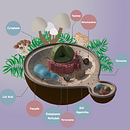 My project for course: Introduction to Illustrated Infographics. Information Design, Interactive Design & Infographics project by Elene Sujashvili - 03.26.2023