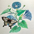 Mon projet du cours : Illustration naturaliste à l'aquarelle et à la gouache. Fine Arts, Painting, Watercolor Painting, Botanical Illustration, Naturalistic Illustration, and Gouache Painting project by Pascal Manny - 03.27.2023