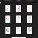 Mein Abschlussprojekt für den Kurs: Anatomische Zeichnung für Anfänger. Un proyecto de Bellas Artes, Bocetado, Dibujo a lápiz, Dibujo, Dibujo realista y Dibujo anatómico de Lena - 27.03.2023