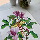 Mi proyecto del curso: Ilustración naturalista con gouache y acuarela. Fine Arts, Painting, Watercolor Painting, Botanical Illustration, Naturalistic Illustration, and Gouache Painting project by Pili Guardiola - 03.28.2023