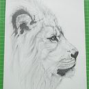 Il mio progetto del corso: Disegno naturalistico di animali con matita di grafite Ein Projekt aus dem Bereich Traditionelle Illustration, Bleistiftzeichnung, Zeichnung und Naturalistische Illustration von alessandra_28 - 30.03.2023