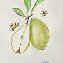 Heera_Art . Een project van Craft van Heera Goutham - 26.03.2023