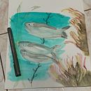 Mi proyecto del curso: Ilustración de universos marinos en acuarela . Ilustrație tradițională, Pictura, Pictură în acuarelă & Ilustrație naturalistă de Ann Marie Gordón - 04.01.2023