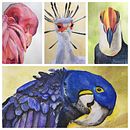 Watercolor birds. Projekt z dziedziny Trad, c i jna ilustracja użytkownika dancing_brush_of_kata - 01.04.2023