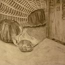 Still Life Study: Onions. Projekt z dziedziny  R i sunek użytkownika Briar Pfaff - 01.04.2023