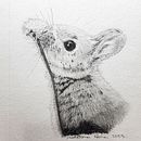Mi proyecto del curso: Dibujo naturalista artístico a lápiz Ein Projekt aus dem Bereich Bleistiftzeichnung, Zeichnung, Artistische Zeichnung und Naturalistische Illustration von Adriana Peña - 31.03.2023