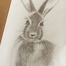 Bunny. Een project van Traditionele illustratie van Cris N Sunny Shukla - 04.04.2023