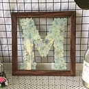 My project for course: Basic Botanical Pressing Techniques. Een project van Craft,  Beeldende kunst, Collage, DIY y Bloem- en plantenschikken van Esly Medina - 06.04.2023