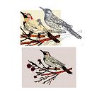 Western Flicker . Un projet de Illustration traditionnelle de Linda Rempel - 07.04.2023