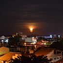 Violeta Bossa Trip (Trabalho lançado mais recente enquanto guitarrista). Een project van  Muziek van Ricardo Lyra - 07.04.2023