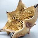 The Star from a Different Dimension . % Nicole Ponce tarafından hazırlanan Seramikler projesi - 05.02.2020