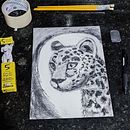 Meu projeto do curso: Ilustração de animais com carvão vegetal e tinta. Een project van  Beeldende kunst,  Tekening,  Illustratie met inkt y Naturalistische illustratie van Tamara Geremia Melchior - 09.04.2023