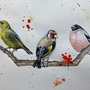 My project for course: Artistic Watercolor Techniques for Illustrating Birds. Ilustração tradicional, Pintura em aquarela, Desenho realista e Ilustração naturalista projeto de Chris Taylor - 10.04.2023