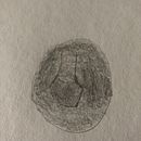 Little Vase. Fine Arts project by Gaelle Sinsaire - 04.11.2023