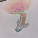 Mind wandering -> Bettas + Mallow  Ein Projekt aus dem Bereich Traditionelle Illustration, Bleistiftzeichnung, Zeichnung, Artistische Zeichnung, Naturalistische Illustration und Zeichnen mit Buntstiften von Anzhelika - 11.04.2023