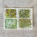 Meu projeto do curso: Araucárias Paisagens de sonhos com aquarela: pintura com luz. Un projet de Peinture , et Aquarelle de Helyne Mendes Evaristo - 11.04.2023
