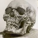 Mi proyecto del curso: Dibujo anatómico de la cabeza humana. Un proyecto de Bellas Artes, Dibujo a lápiz, Dibujo, Dibujo de Retrato, Dibujo realista y Dibujo anatómico de José Pablo Bernal Monrroy - 02.04.2023