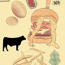 My project for course: Illustrated Recipes: Making Delicious Art. Traditional illustration, Infographics, Vector Illustration, Drawing, Digital Illustration, Digital Painting, Sketchbook, Ink Illustration, and Naturalistic Illustration project by Brianna Bailie - 04.11.2023