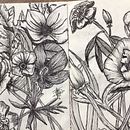 Mi proyecto del curso: Técnicas de ilustración para desbloquear tu creatividad. Un progetto di Design, Illustrazione tradizionale, Belle arti, Pittura, Creatività, Creatività con i bambini e Sketchbook di Natalia - 12.04.2023