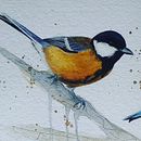 Il mio progetto del corso: Acquerello artistico per illustrazione di animali: gli uccelli. Un proyecto de Ilustración tradicional, Pintura a la acuarela, Dibujo realista e Ilustración naturalista				 de mariellambrosini - 12.04.2023