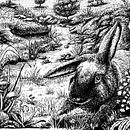 My project for course: Dip Pen and Ink Illustration: Capturing The Natural World. Un progetto di Bozzetti, Disegno, Disegno artistico, Sketchbook, Illustrazione con inchiostro e Illustrazione naturalistica di norineedles - 18.04.2023