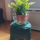 Il mio progetto del corso: Tecniche di macramè rotondo . % Barbara Di Cicco Pucci tarafından hazırlanan Sanat ve El Sanatları, Dekoras, on, El, af Sanatları, Makrome, Ve Tekstil Tasarımı projesi - 04.18.2023