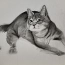 My project for course: Expressive Drawing with Charcoal. Un proyecto de Bellas Artes, Dibujo, Dibujo de Retrato e Ilustración naturalista				 de Sue Higgerson - 19.04.2023