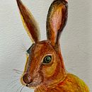Il mio progetto del corso: Tecniche sperimentali di acquerello per principianti. Un proyecto de Ilustración tradicional, Bellas Artes, Pintura a la acuarela e Ilustración naturalista				 de Donatella - 20.04.2023