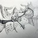 Meu projeto do curso: Desenho anatômico com lápis grafite para iniciantes. Fine Arts, Pencil Drawing, Drawing, Realistic Drawing, and Figure Drawing project by myrian_veloso - 04.20.2023