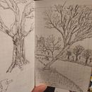 My project for course: Daily Sketching for Creative Inspiration. Un progetto di Illustrazione tradizionale, Bozzetti, Creatività, Disegno e Sketchbook di Izabela de Lima - 21.04.2023