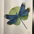 Mon projet du cours : Illustration naturaliste à l'aquarelle et à la gouache. Fine Arts, Painting, Watercolor Painting, Botanical Illustration, Naturalistic Illustration, and Gouache Painting project by misscee - 04.21.2023