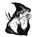 Wizard toad. Ilustração tradicional projeto de Mei P. Romano - 24.04.2023