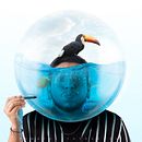 Mi proyecto del curso: Collage digital en Photoshop: composición y efectos visuales. Photograph, Collage, Photo Retouching, Fine-Art Photograph, Photographic Composition, and Photomontage project by Renato Gustavo - 04.24.2023